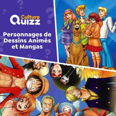 Quiz sur les personnages de s&eacute;ries anim&eacute;es et mangas.