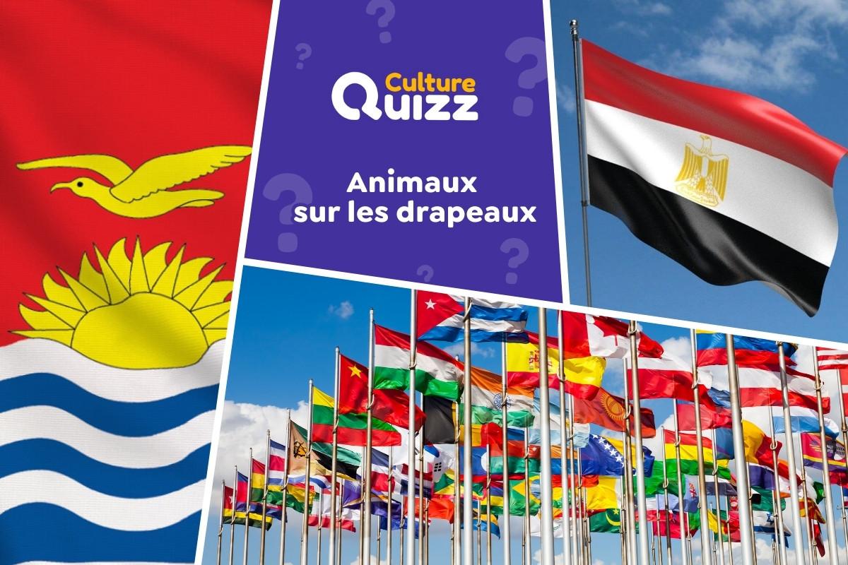 Quiz spécial Animaux sur les Drapeaux - Quiz spécial sur les drapeaux avec des animaux