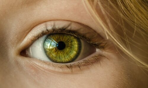 Le nerf optique dans le corps humain peut mesurer plusieurs mètres de long. Vrai ou faux ? 