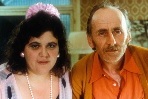 Quel fruit donne son nom à l'une des deux familles dans le film français La vie est un long fleuve tranquille d'Étienne Chatiliez ? 