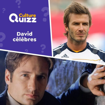Quiz sp&eacute;cial sur les personnalit&eacute;s nomm&eacute;es David et les David c&eacute;l&egrave;bres