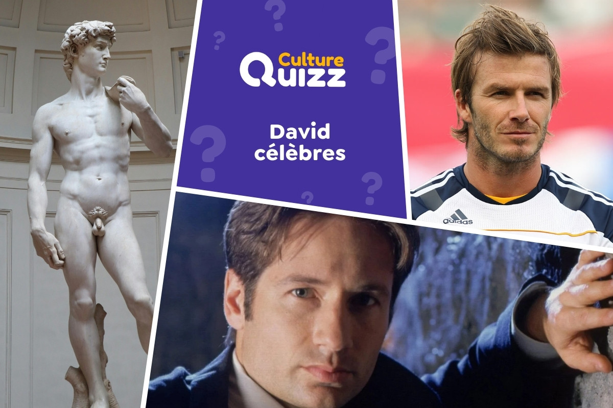 Quiz spécial David Célèbres - Quiz spécial sur les personnalités nommées David et les David célèbres