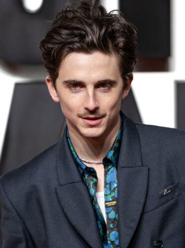 En quelle année est né l’acteur Timothée Chalamet ? 