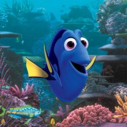 Le Monde de Dory 