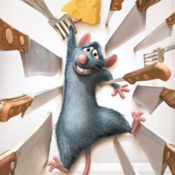 Ratatouille 