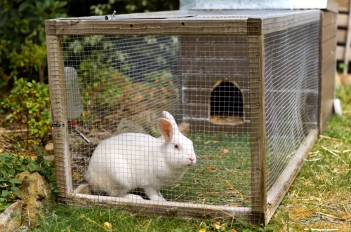 Quel est le nom donné à une cage pour accueillir des lapins ? 