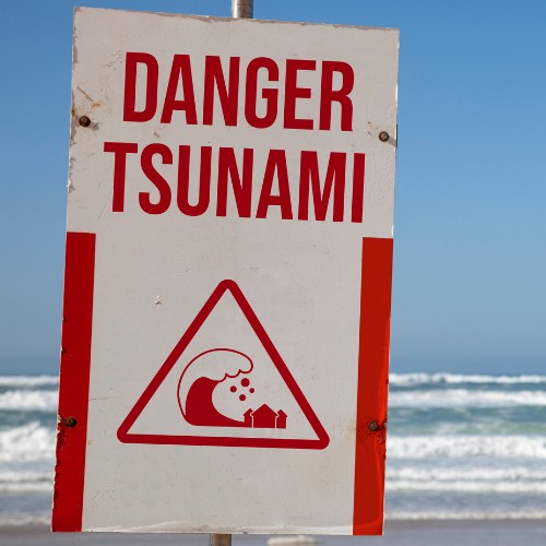 En quelle année, un tsunami dans l'océan Indien a-t-il dévasté l'Asie du Sud au lendemain de Noël ? 