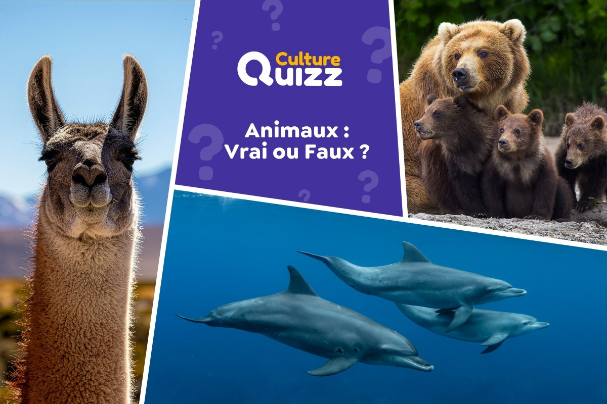 Quiz Animaux : Vrai ou Faux ? #4 - Quiz Animaux Vrai ou Faux - testez vos connaissances
