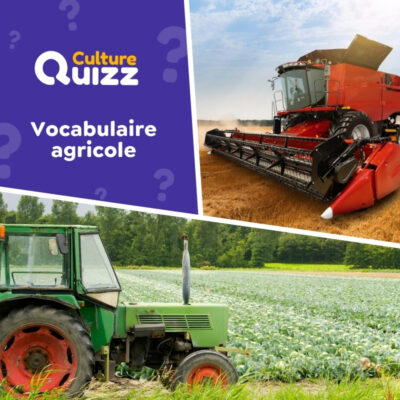 Quiz vocabulaire de l'agricole : moissons, &eacute;levage, plantations...