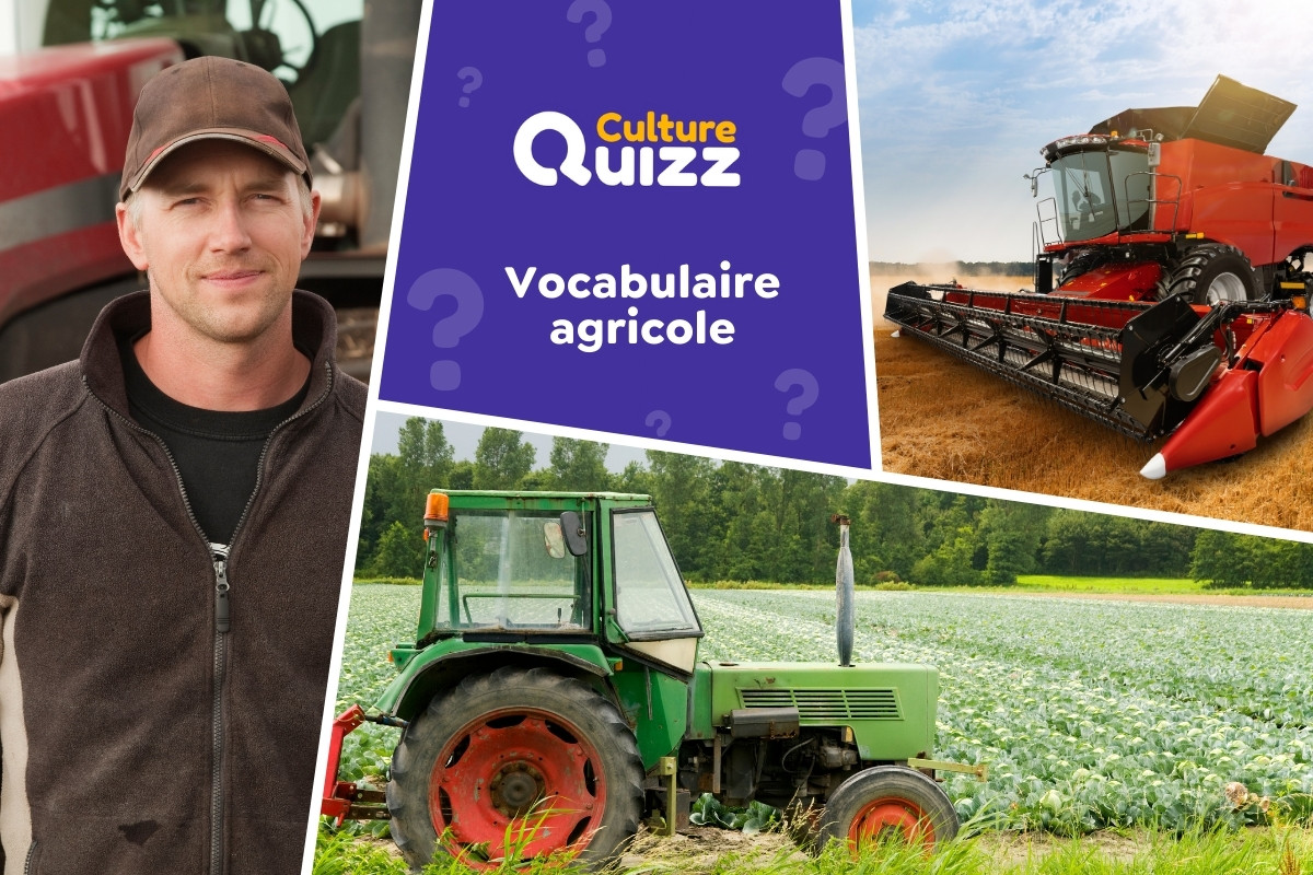 Quiz Vocabulaire de l'Agriculture - Quiz vocabulaire de l'agricole : moissons, élevage, plantations...