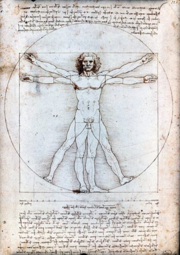 Quel nom est donné aux dessins anatomiques de Léonard de Vinci qui représentent l’homme aux proportions parfaites ? 