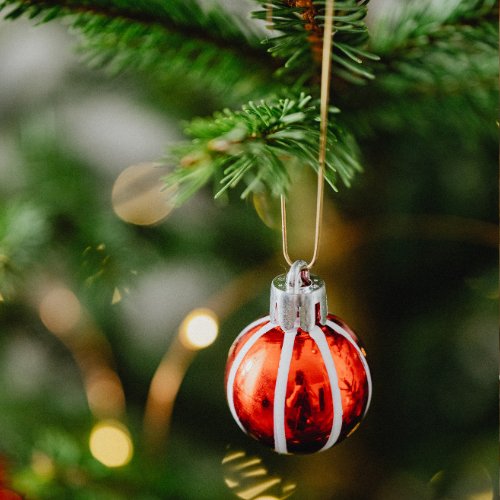 Le sapin de Webb est l’essence la plus vendue en France comme sapin de Noël. Vrai ou faux ? 