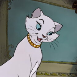 Personnage B 