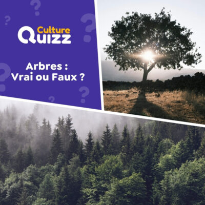 Quiz sp&eacute;cial sur les abres avec des questions en vrai ou faux