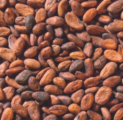 Les fèves de cacao étaient chez les Aztèques une monnaie officielle. Vrai ou faux ? 