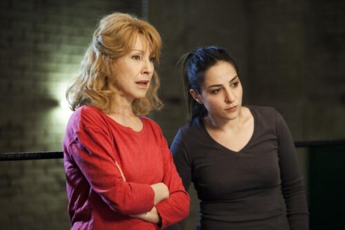Quel personnage célèbre inspire le rôle joué par Nathalie Baye dans le film français Les Reines du ring (2013) ? 