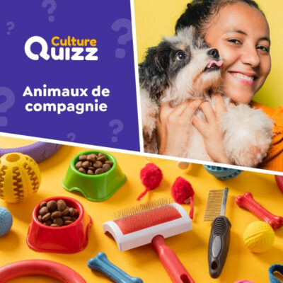 Quiz sp&eacute;cial sur les animaux de compagnie : chiens, chats, rongeurs, serpents, oiseaux