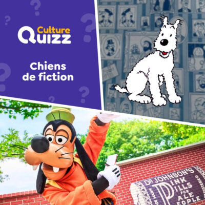 Quiz sur les chiens de fiction - Animaux