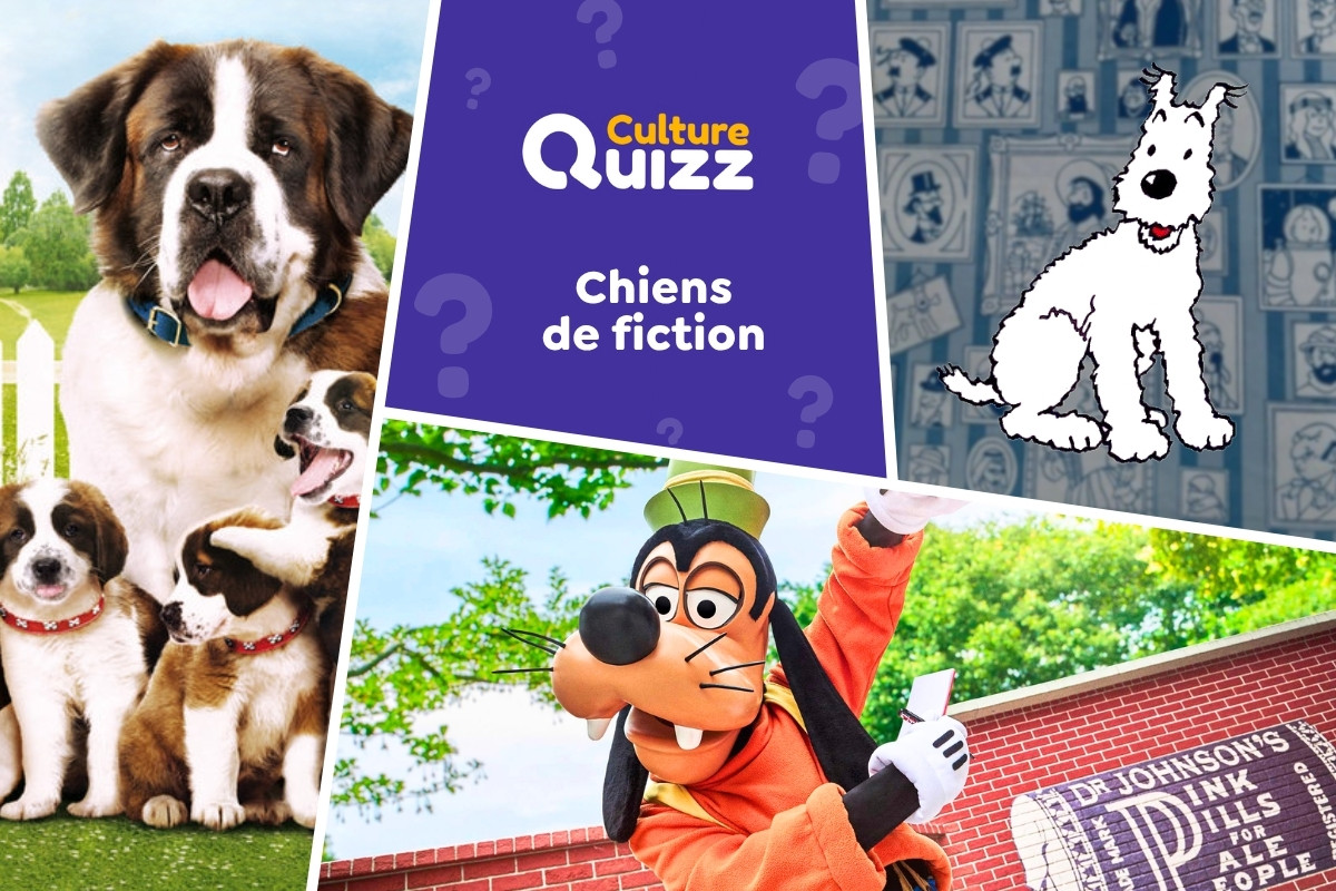 Quiz spécial Chiens de fiction - Quiz sur les chiens de fiction - Animaux
