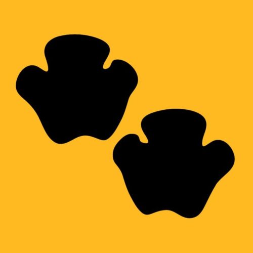 Quel animal est associé à ces traces de pas ? 