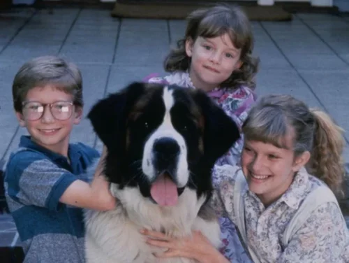 Quel saint-bernard au nom artistique est le héros d’une série de films où le chien entre dans la vie de la famille Newton ? 