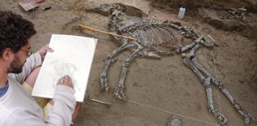Un archéologue est un spécialiste des os de dinosaures. Vrai ou faux ? 