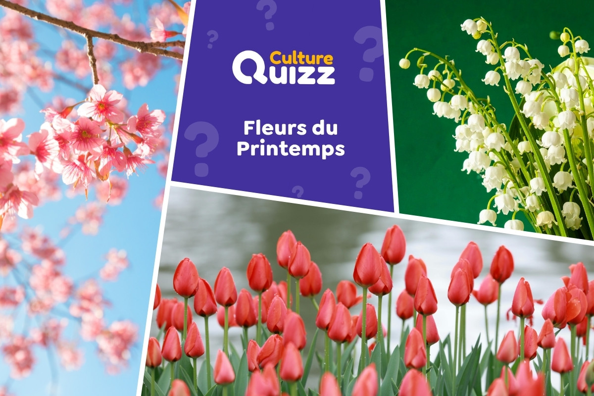 Quiz Fleurs du Printemps - Fleurs du Printemps - testez vos connaissances sur les fleurs incontournables de du printemps.