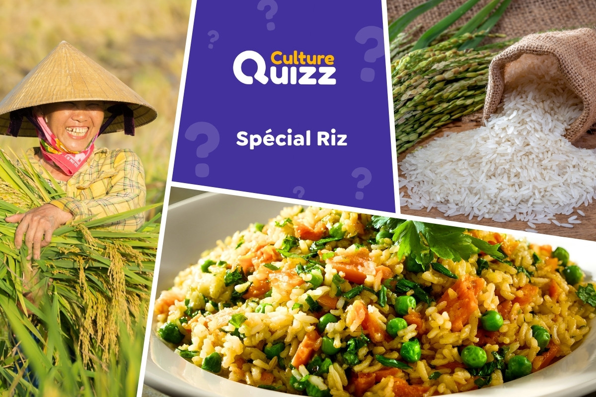 Quiz spécial Riz - Quiz spécial sur le Riz - Plat et céréale indispensable