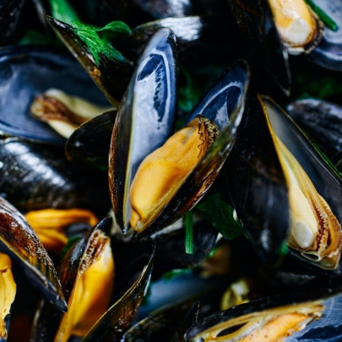 Dans sa recette traditionnelle les moules marinières sont cuisinées au vin blanc et à la crème. Vrai ou faux ? 