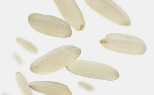 Le riz est un aliment naturellement pauvre en amidon. Vrai ou faux ? 