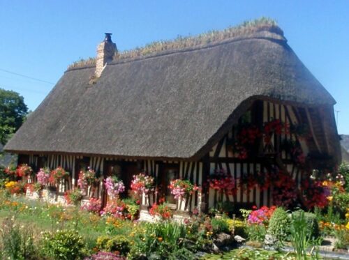 Traditionnellement, quelle fleur est plantée sur le toit en chaume des chaumières normandes ? 