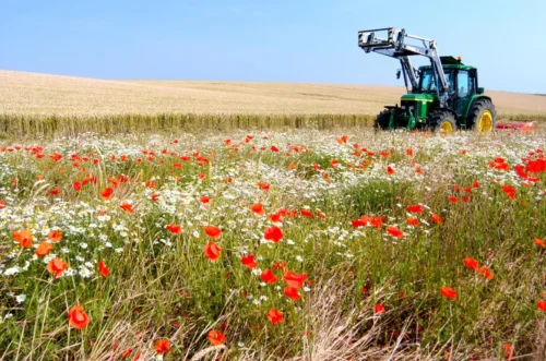 Quel mot commençant par un J désigne une terre agricole laissée temporairement sans culture pour lui permettre de se reposer ? 