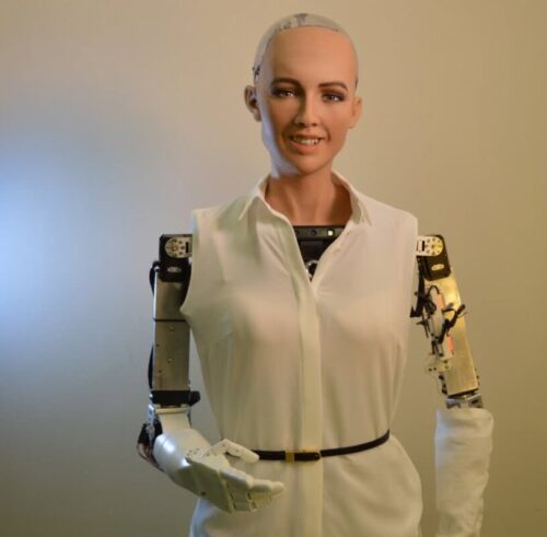 Quel terme désigne un robot ayant une apparence féminine ? 