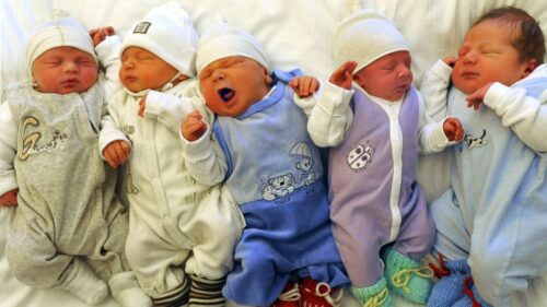 Quelle période de l’histoire correspond au baby-boom ? 