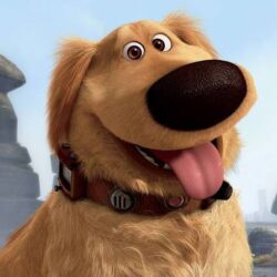 Le chien 
