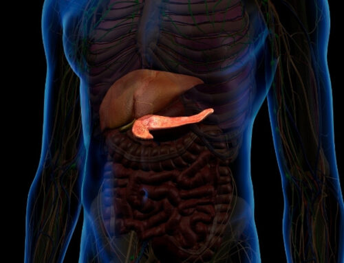 Quelle hormone produite par le pancréas régule le taux de glucose dans le sang et commence par la lettre I ? 