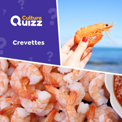 Quiz sp&eacute;cial sur les crevettes