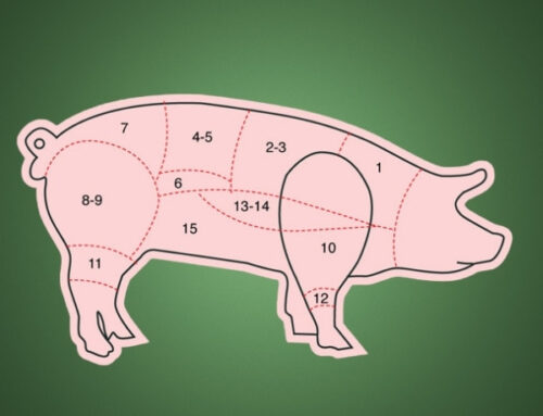 Quel morceau de viande commençant par un J situé autour du tibia du bœuf ou du cochon est aussi le nom d'un plat ? 