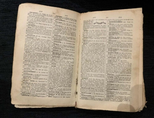Quel mot commençant par un V est défini dans le dictionnaire Larousse comme l'ensemble des pratiques du mal ? 