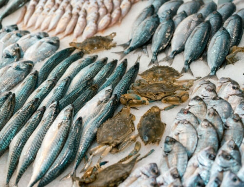 Quel poisson commençant par un S est aussi un élément indispensable du campeur ? 