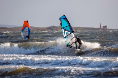 Quel nom désigne aussi le sport nautique nommé planche à voile ? 