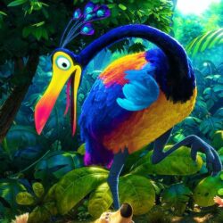 L'oiseau 