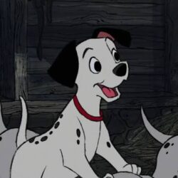 Les 101 Dalmatiens 