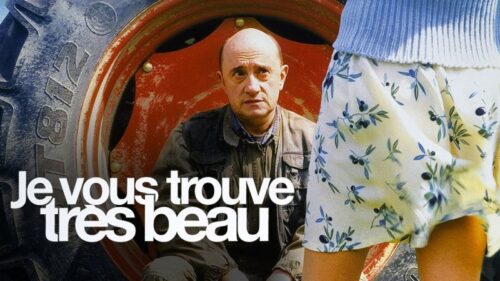 Quelle comédienne a réalisé le film Je vous trouve très beau avec Michel Blanc ? 