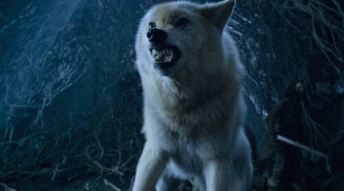 Quel loup-garou surgit pour défendre Arya dans la saison 7 de « Game of Thrones » ? 
