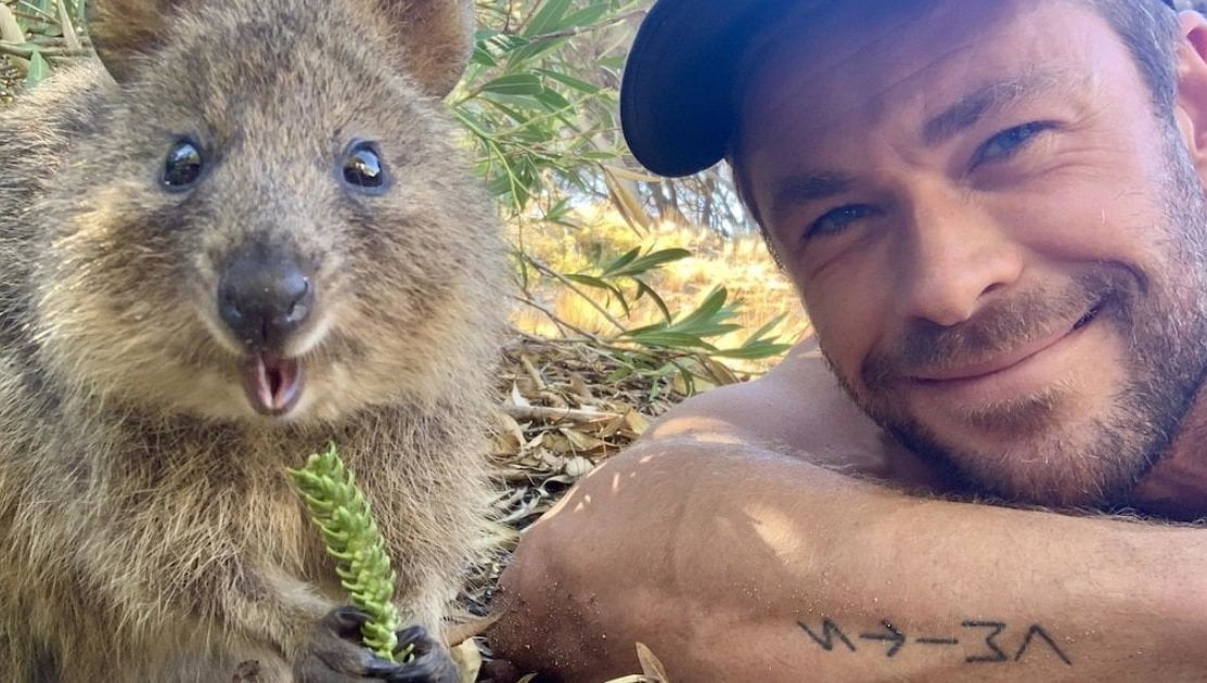 Quel animal pose à côté de Chris Hemsworth ? 