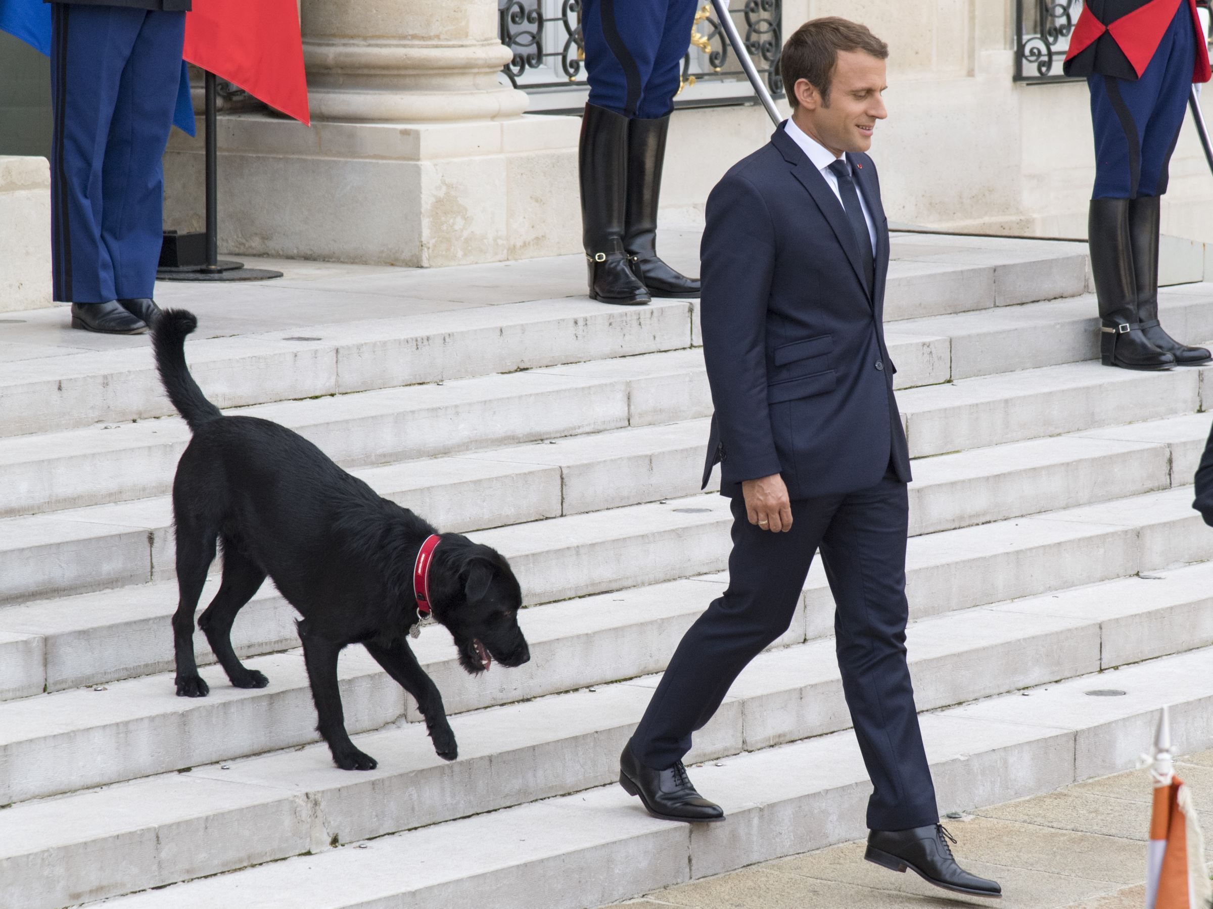 Quel est le nom du chien adopté par Emmanuel Macron en 2017 ? 
