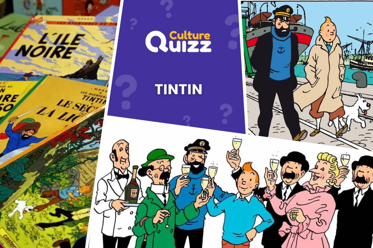 Quiz sur les Aventures de Tintin - Quiz sur les aventures de Tintin Milou et le capitaine Haddock