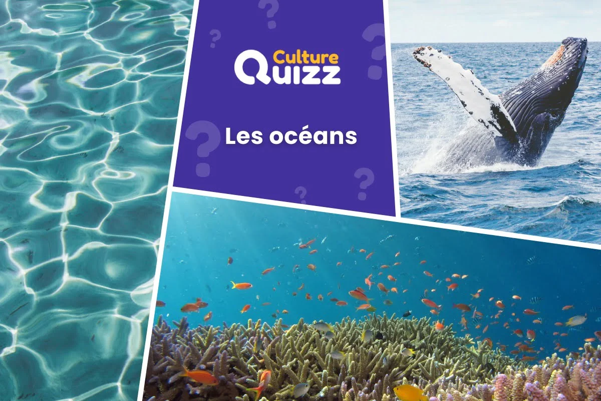 Quiz sur les Océans - Quiz pour tout savoir sur les océans de la planète Terre