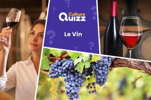 Quiz dédié à la vigne et au vin - culture générale